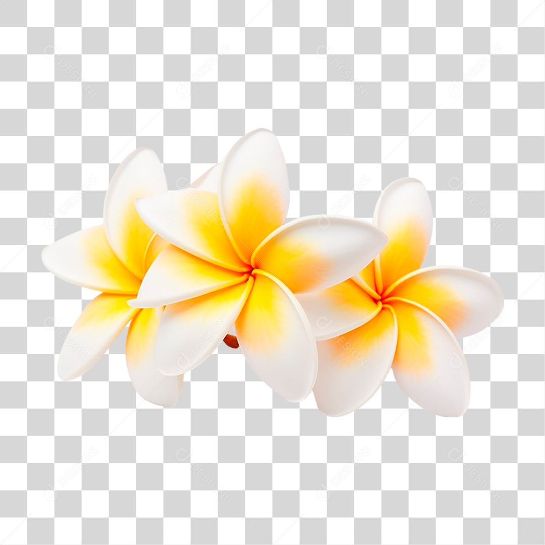 Flores de Jasmim Manga PNG Transparente