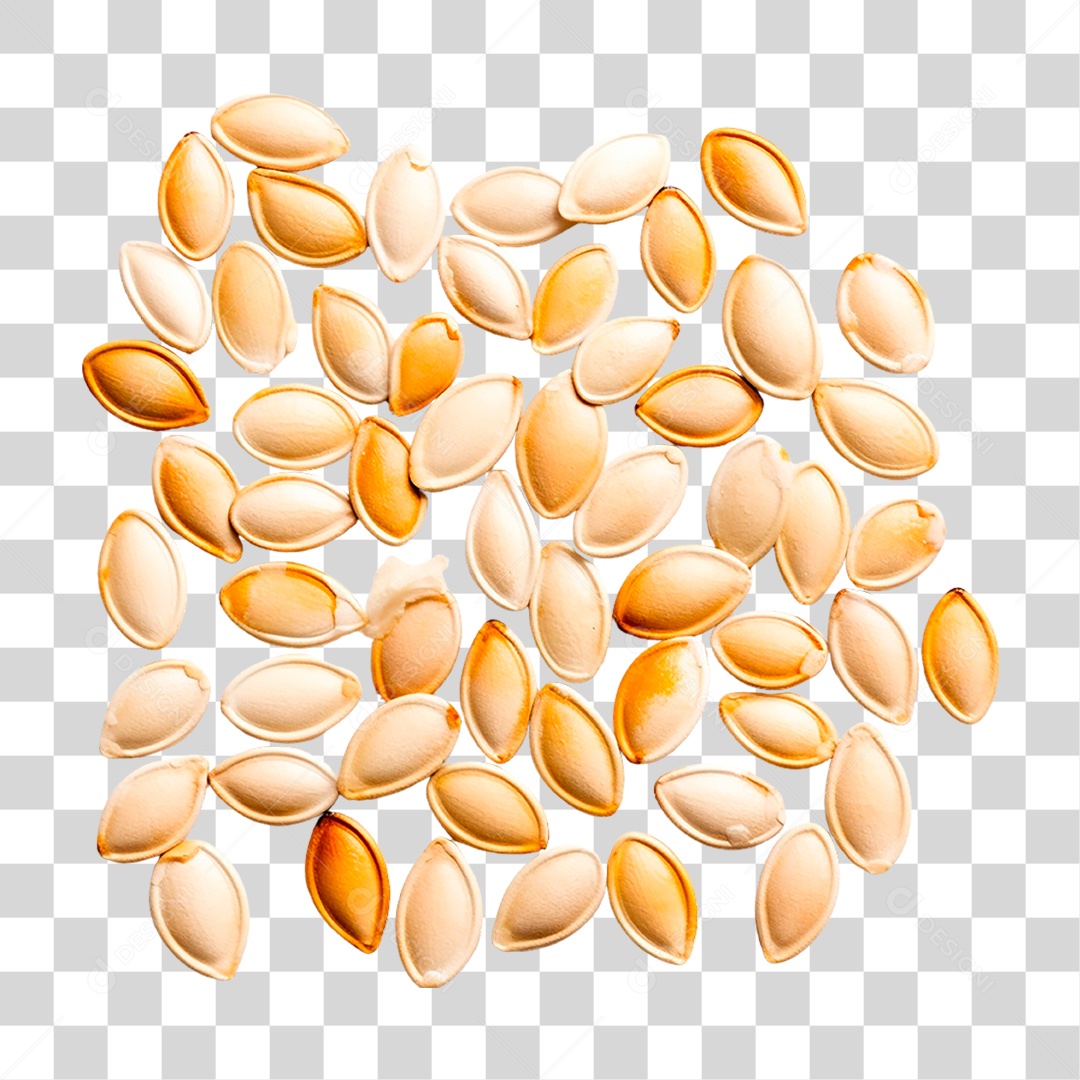 Semente de Abóbora PNG Transparente