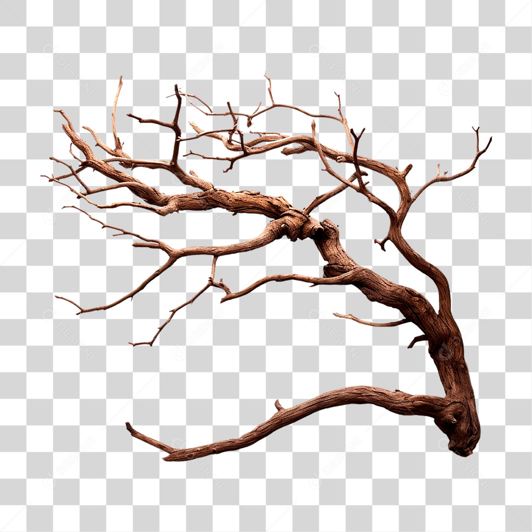 Galho Seco PNG Transparente