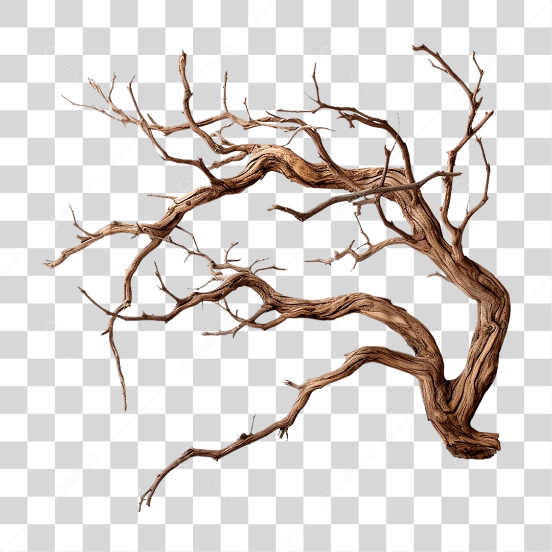 Galho Seco PNG Transparente