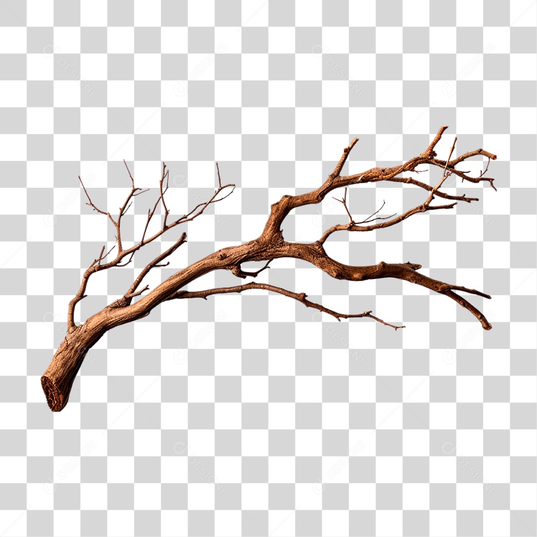 Galho Seco PNG Transparente