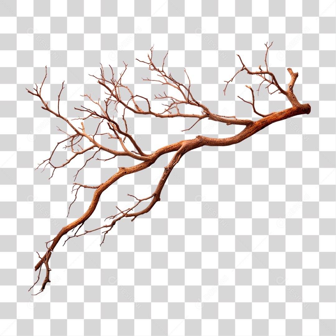 Galho Seco PNG Transparente