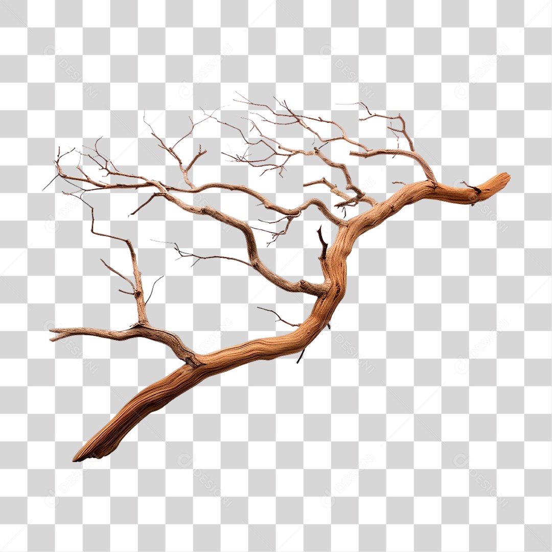 Galho Seco PNG Transparente