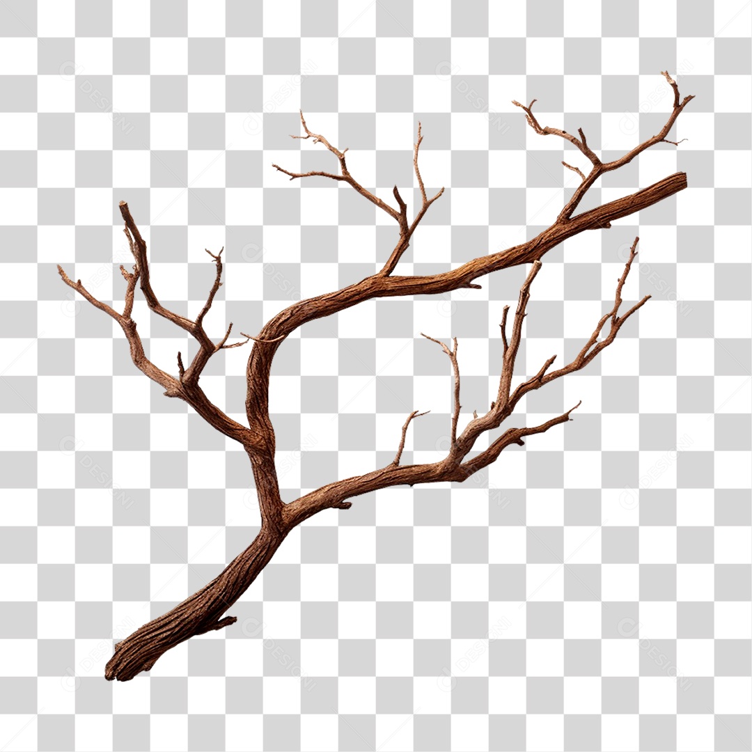 Galho Seco PNG Transparente