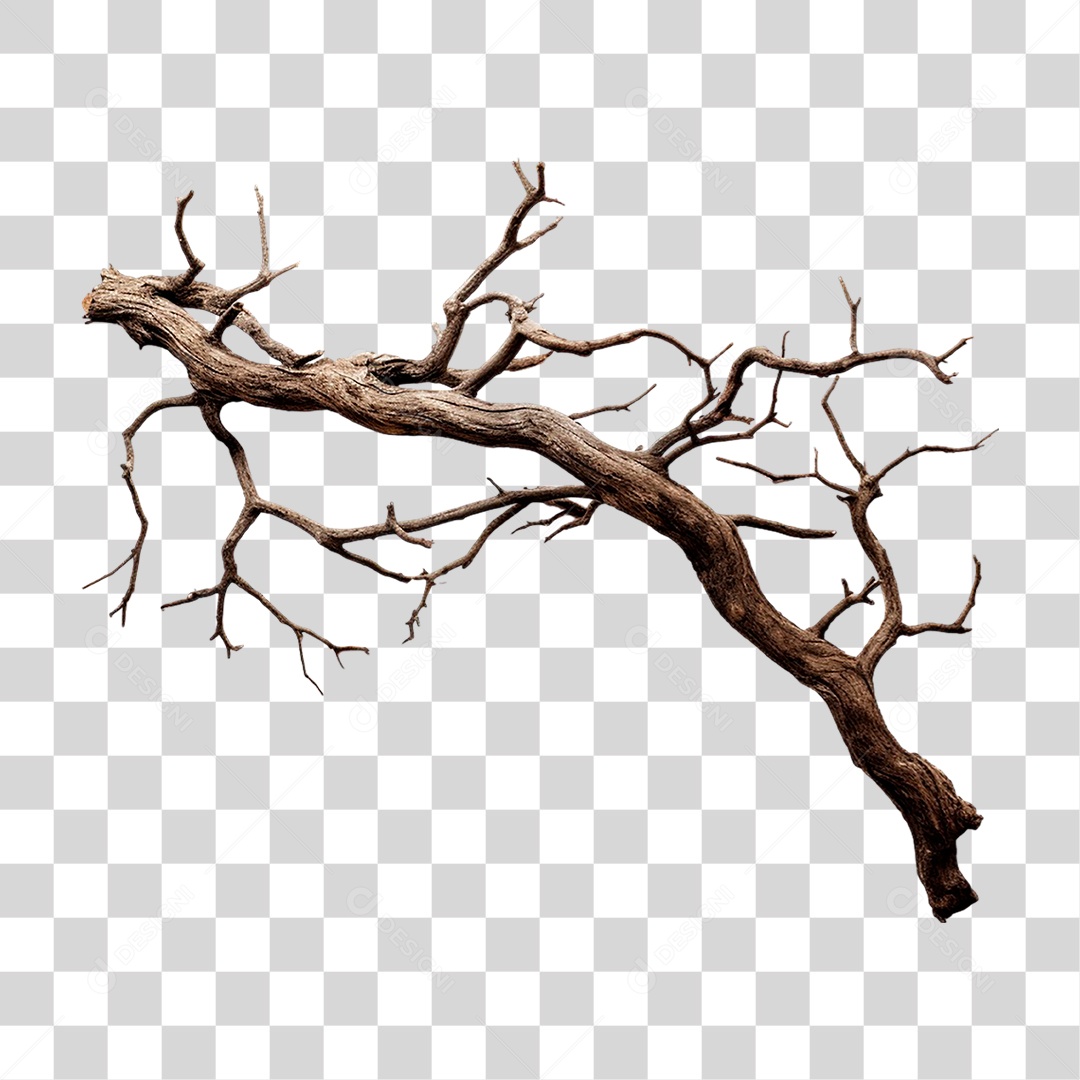 Galho Seco PNG Transparente