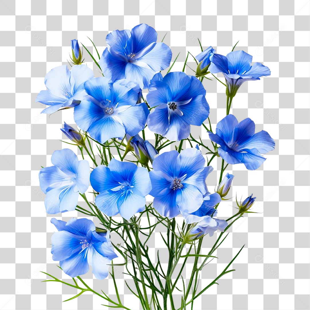 Flores Azuis PNG Transparente