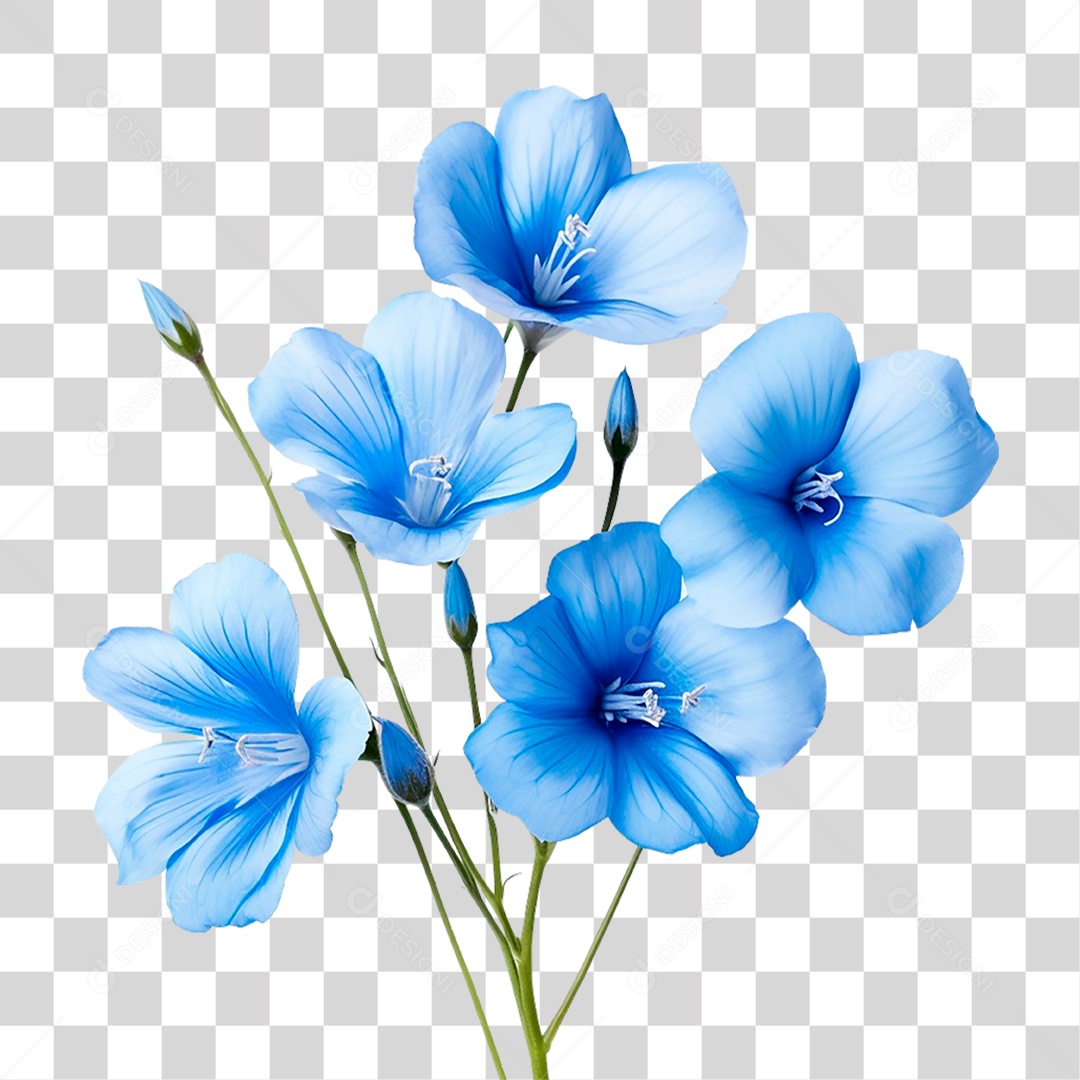 Flores Azuis PNG Transparente