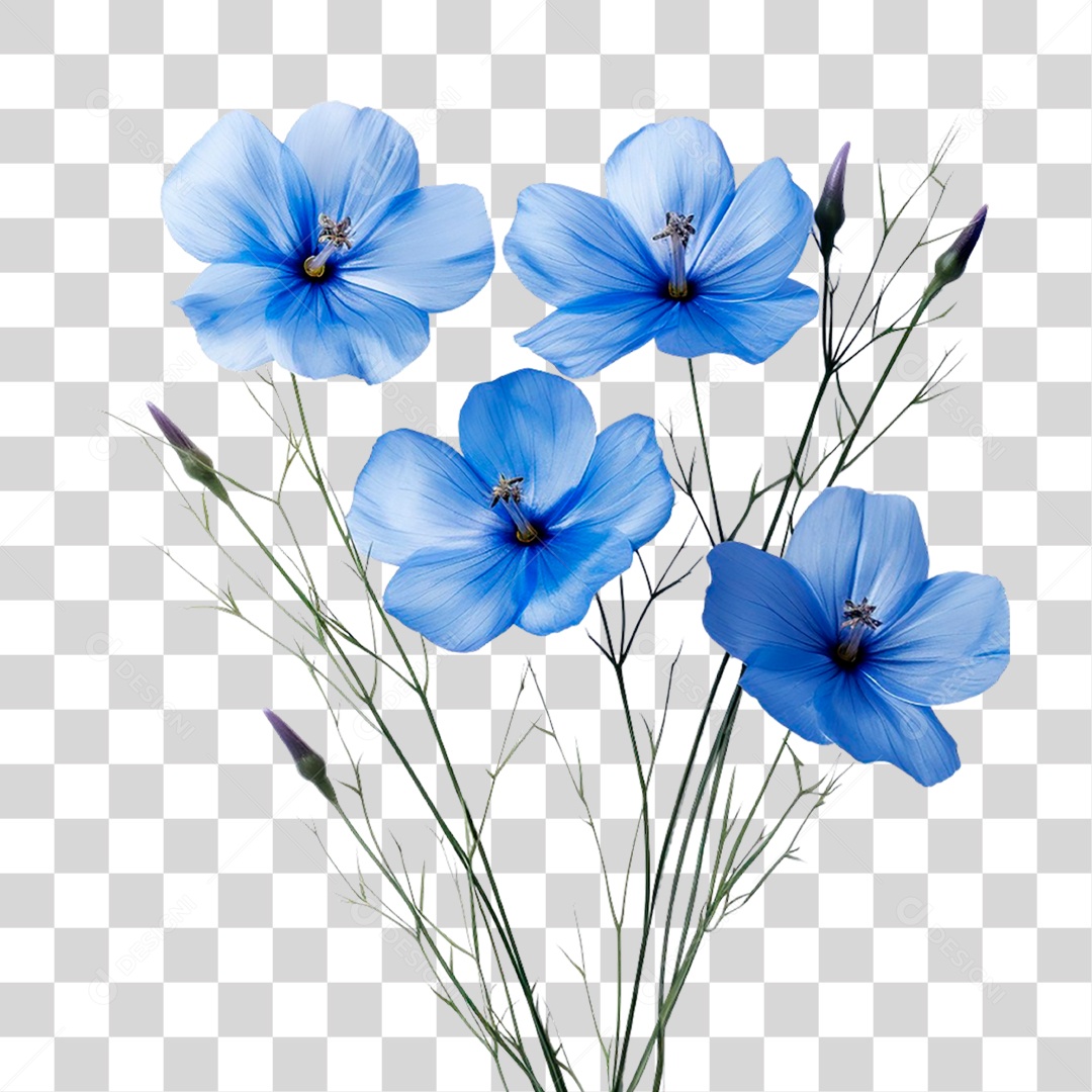 Flores Azuis PNG Transparente