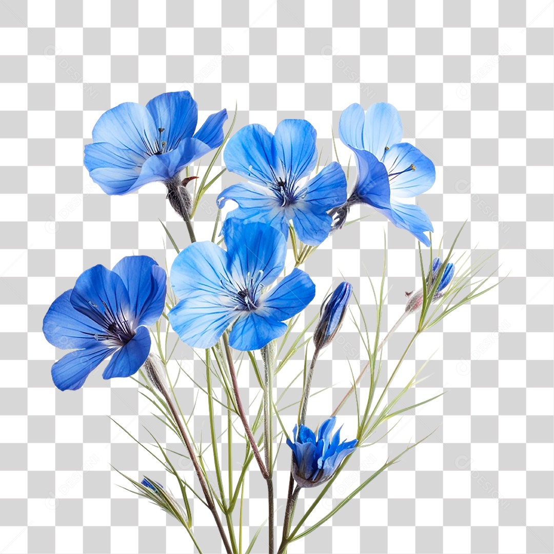 Flores Azuis PNG Transparente