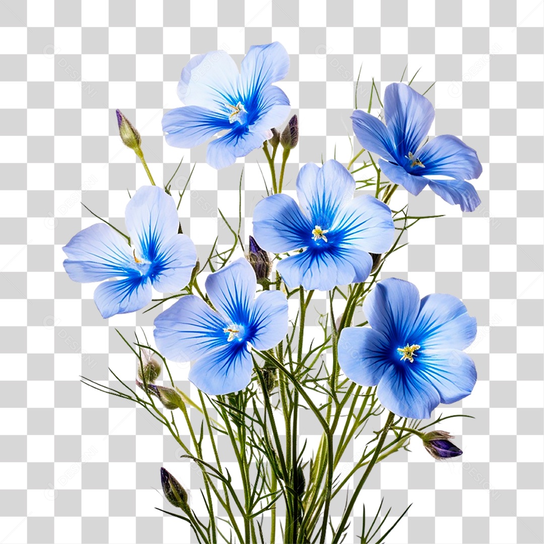 Flores Azuis PNG Transparente