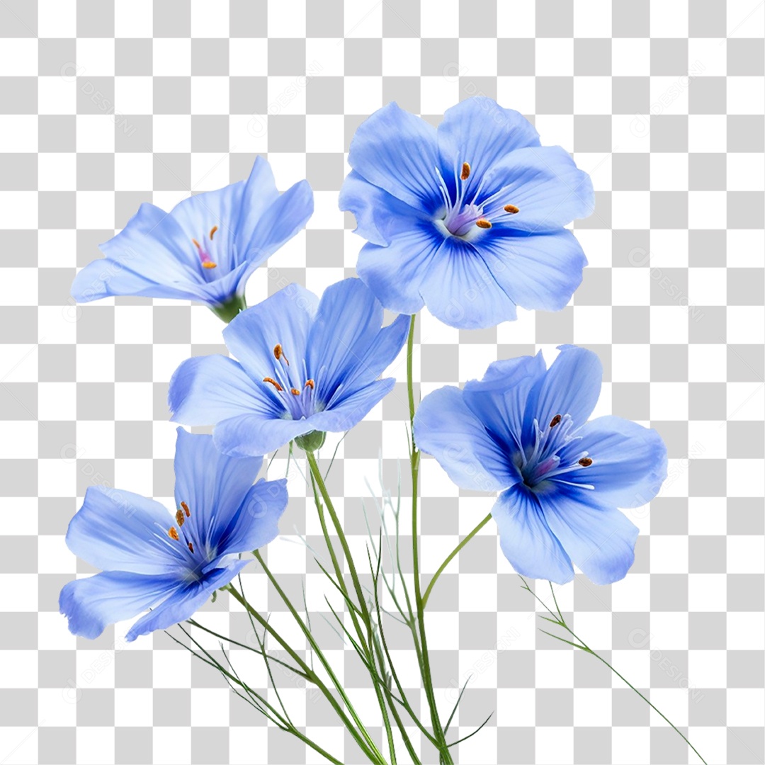 Flores Azuis PNG Transparente