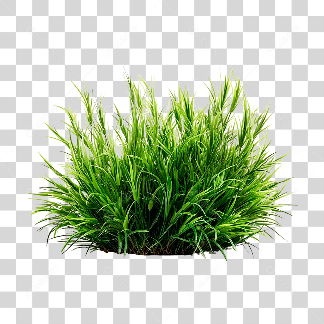 Moita de Grama PNG Transparente