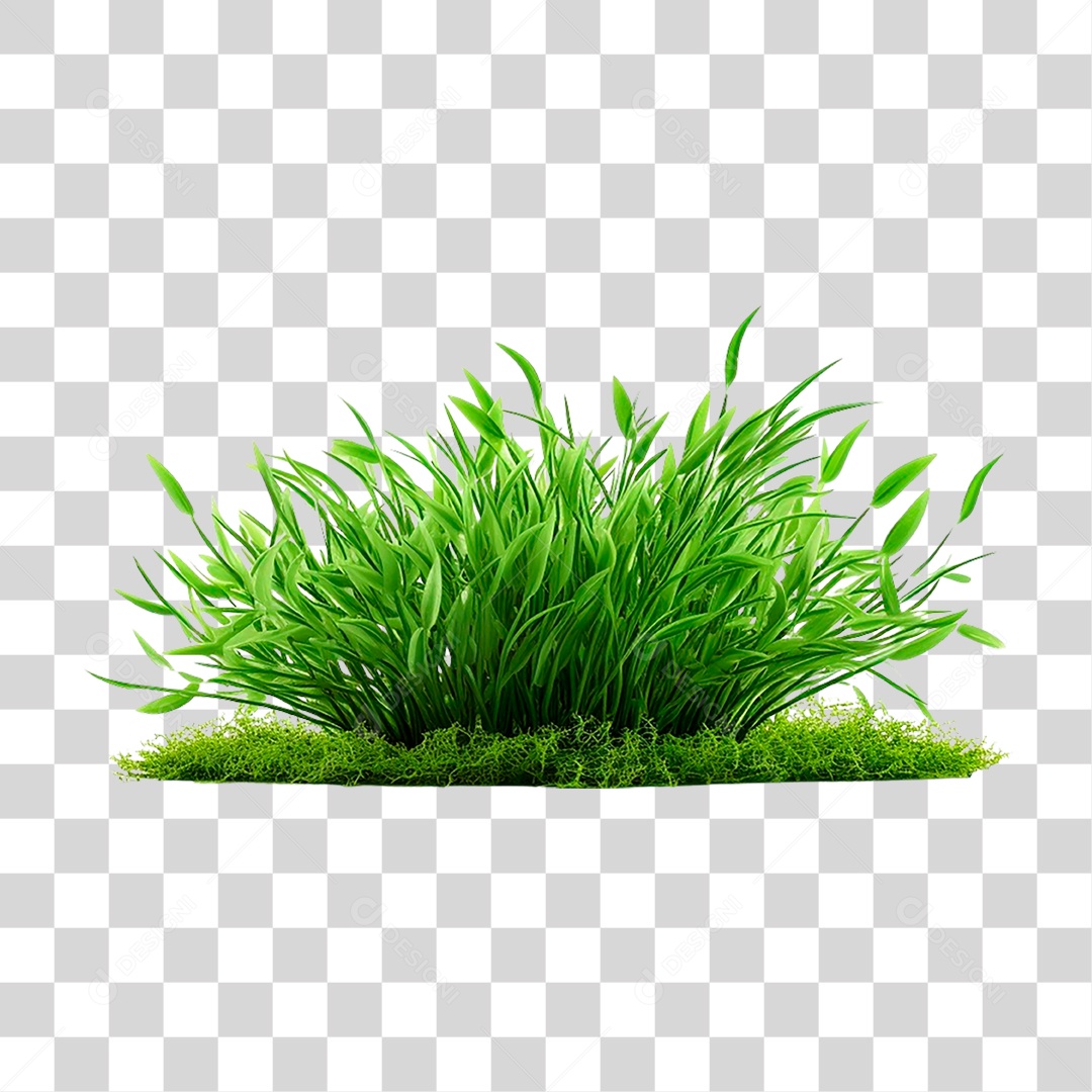 Moita de Grama PNG Transparente