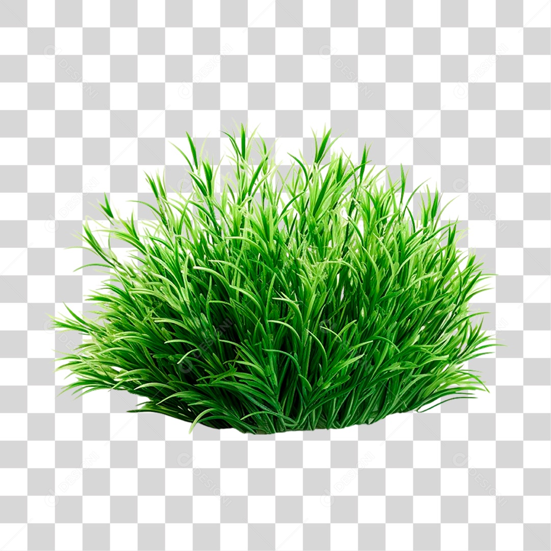 Moita de Grama PNG Transparente