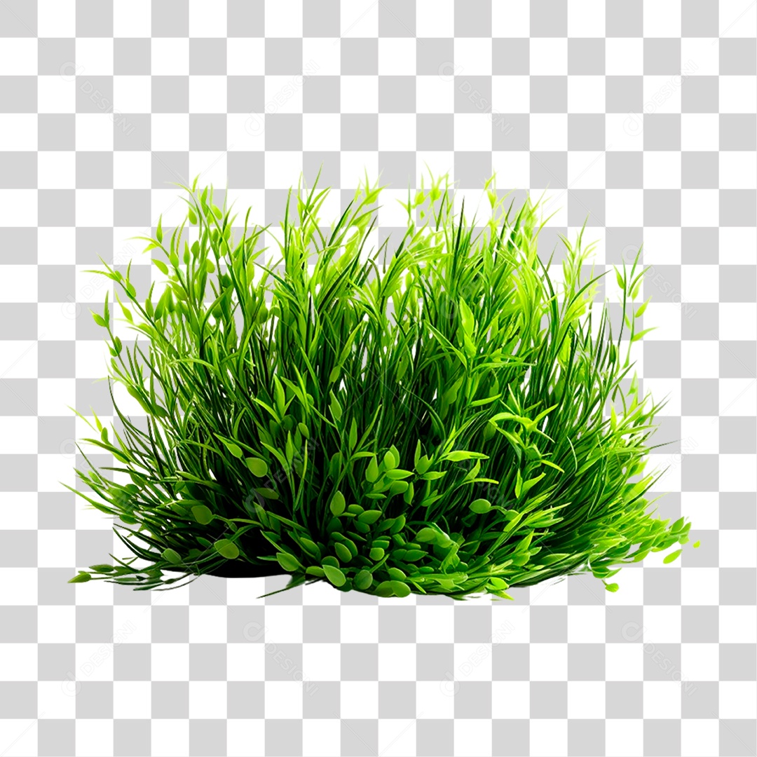 Moita de Grama PNG Transparente