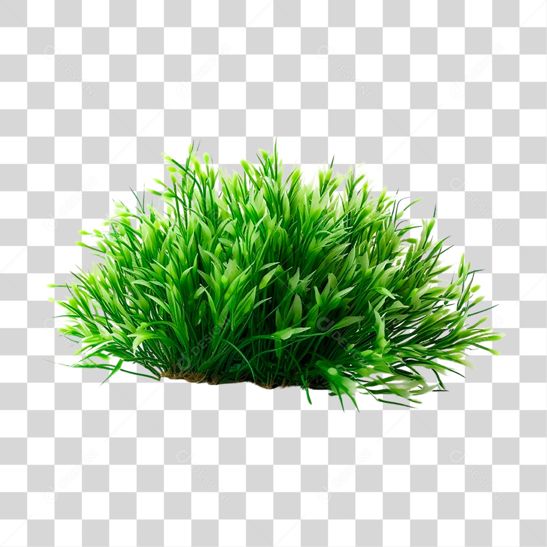 Moita de Grama PNG Transparente