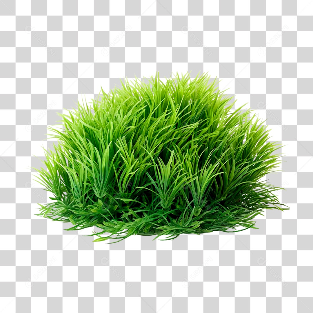 Moita de Grama PNG Transparente