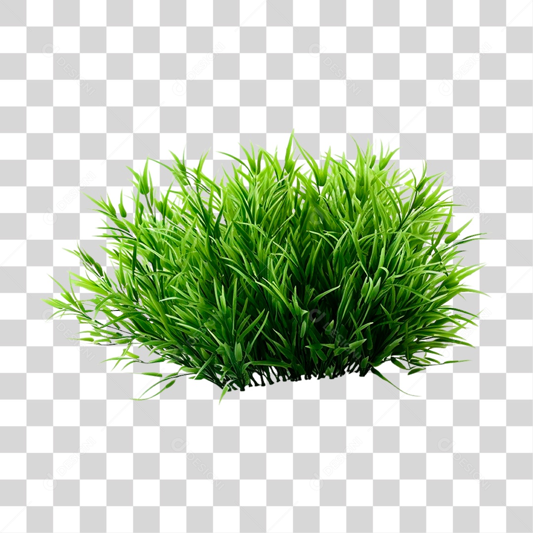 Moita de Grama PNG Transparente