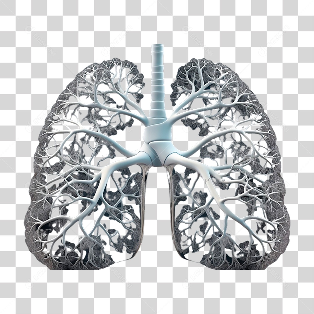 Anatomia dos Pulmões Humano PNG Transparente