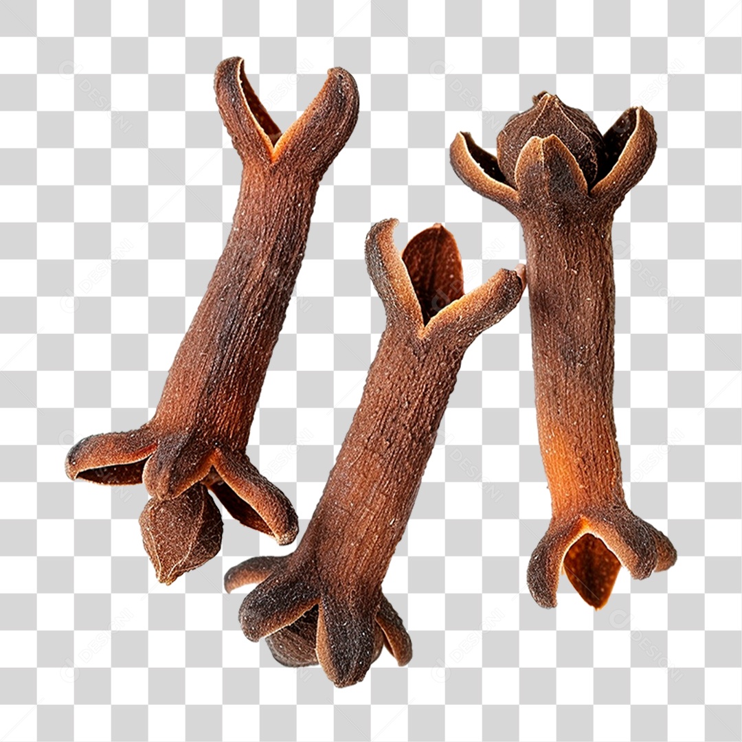 Cravo da Índia PNG Transparente