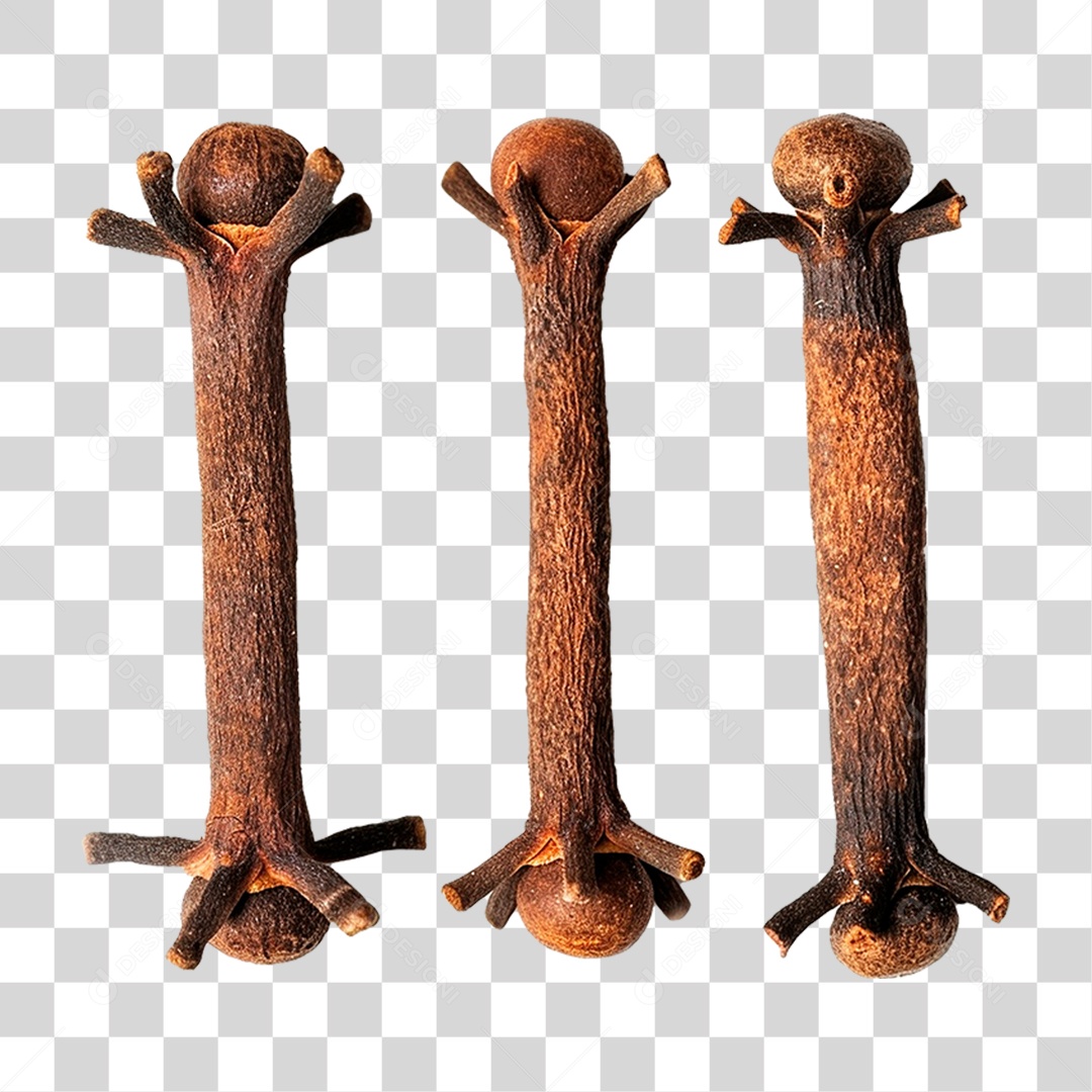 Cravo da Índia PNG Transparente