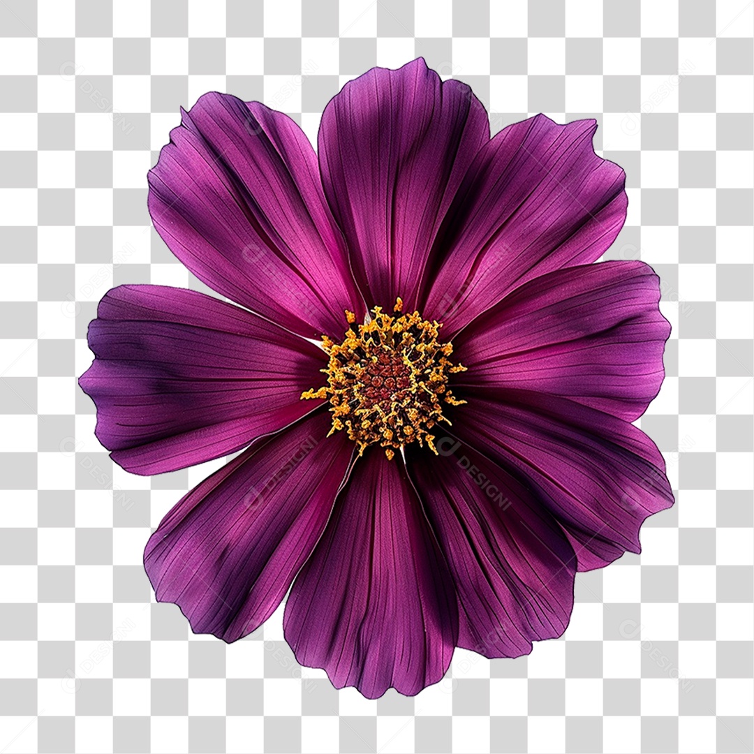 Flor Roxa PNG Transparente