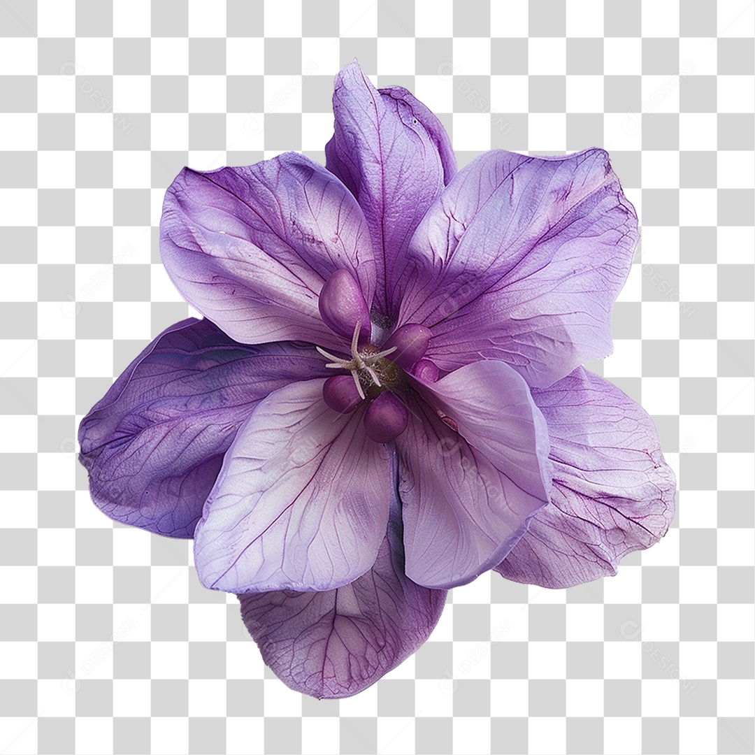 Flor Roxa PNG Transparente