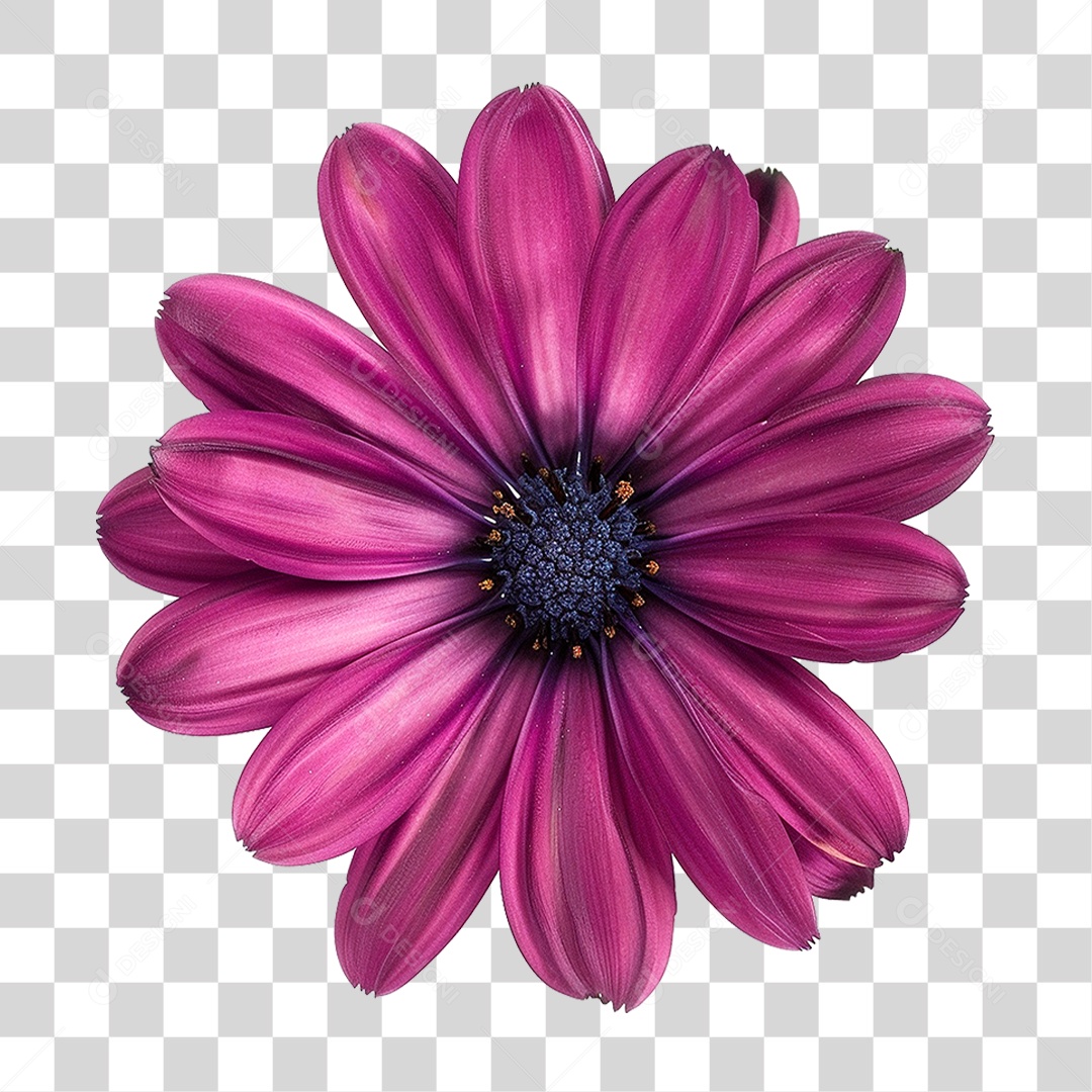 Flor Roxa PNG Transparente