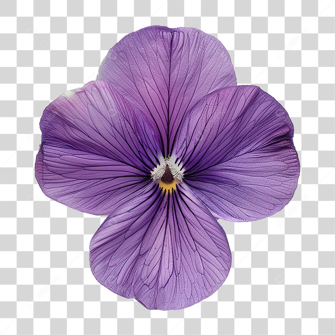 Flor Roxa PNG Transparente