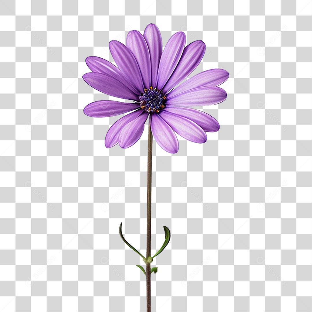 Flor Roxa PNG Transparente