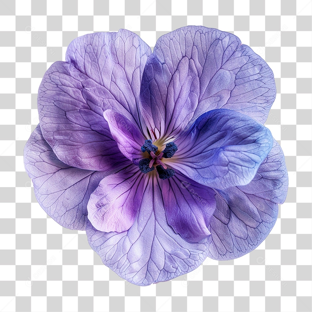 Flor Roxa PNG Transparente