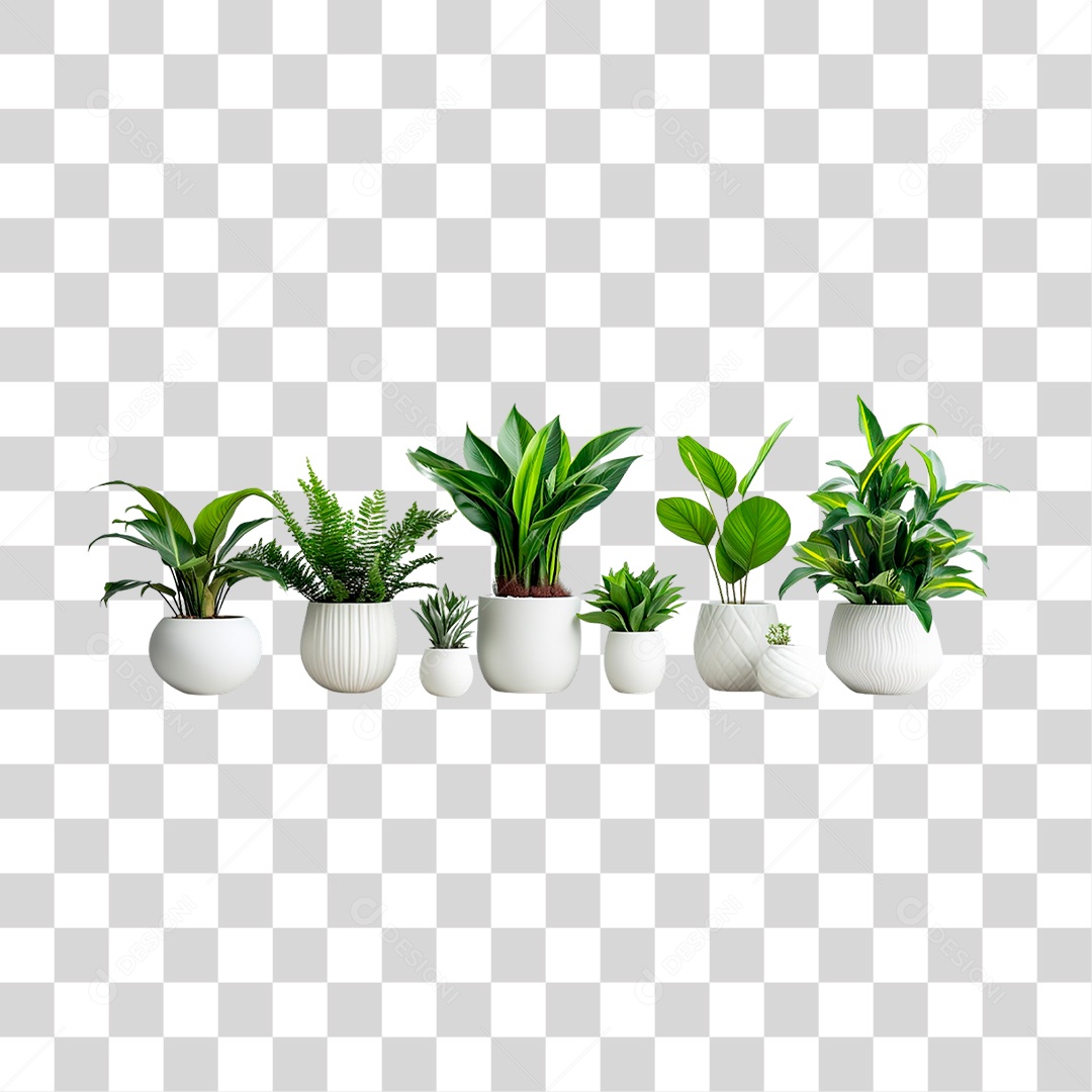 Plantas Ornamentais em Vasos PNG Transparente