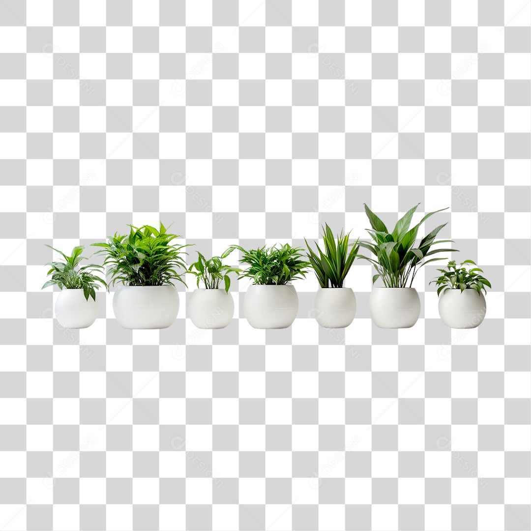 Plantas Ornamentais em Vasos PNG Transparente