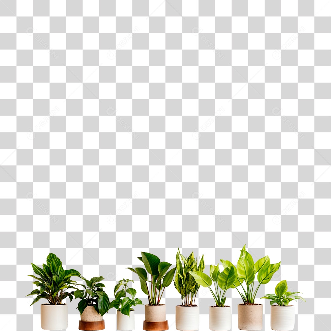 Plantas Ornamentais em Vasos PNG Transparente