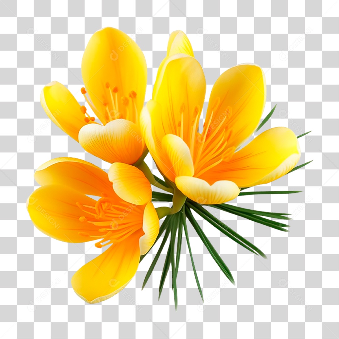 Açafrão de Flor Amarela PNG Transparente