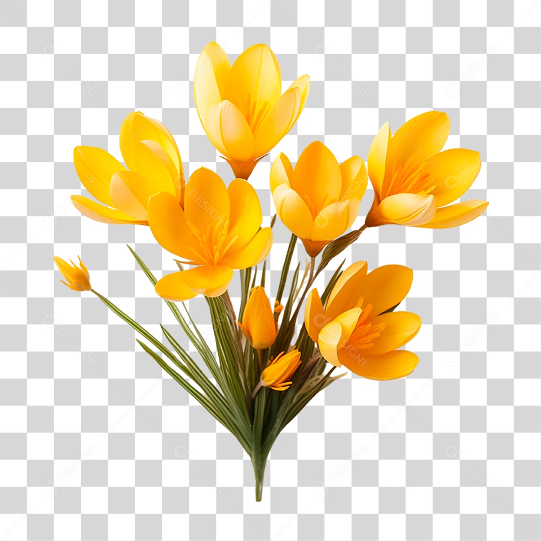 Açafrão de Flor Amarela PNG Transparente