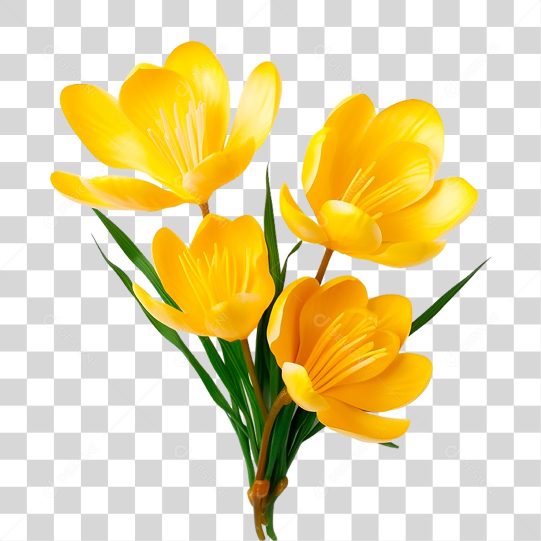 Açafrão de Flor Amarela PNG Transparente