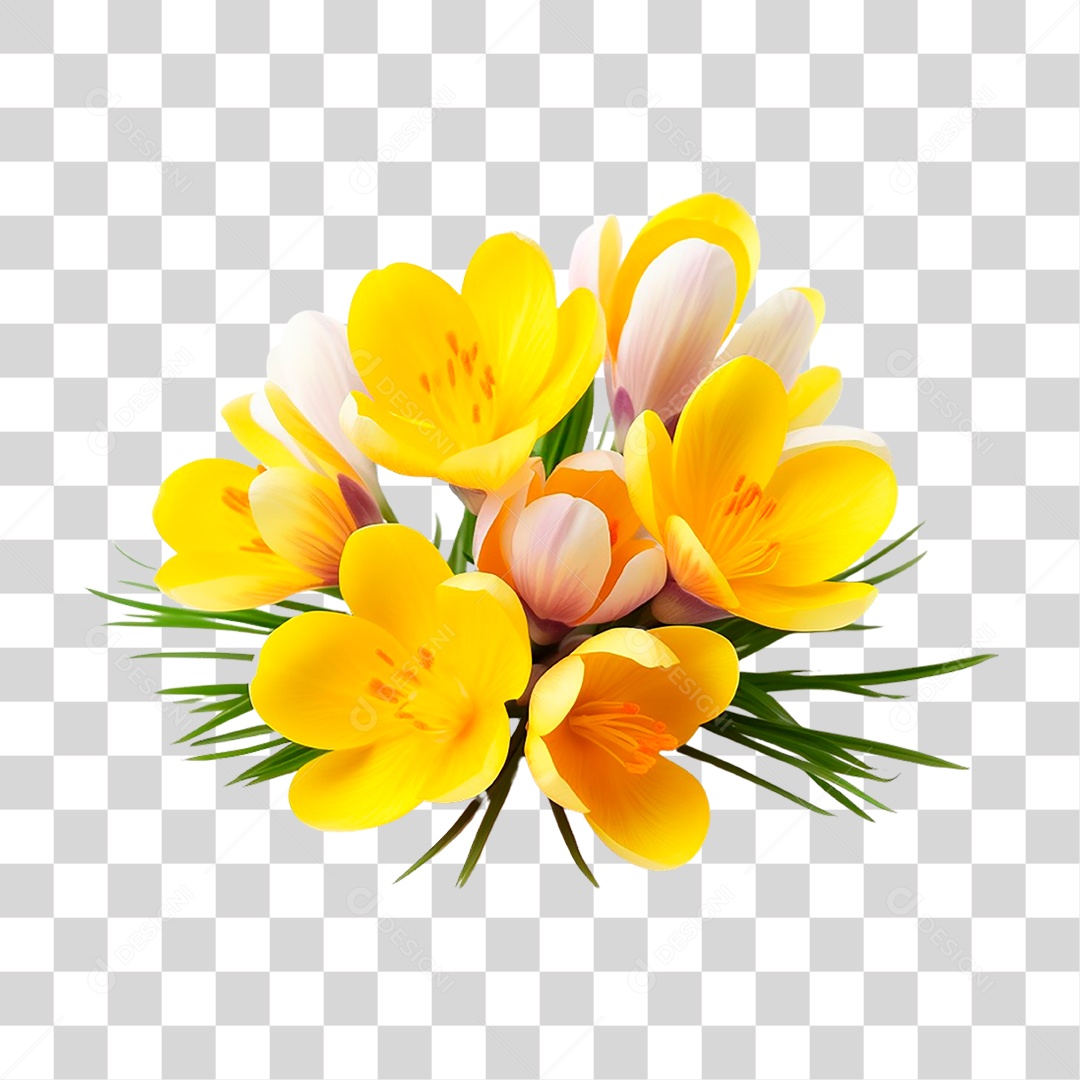 Açafrão de Flor Amarela PNG Transparente