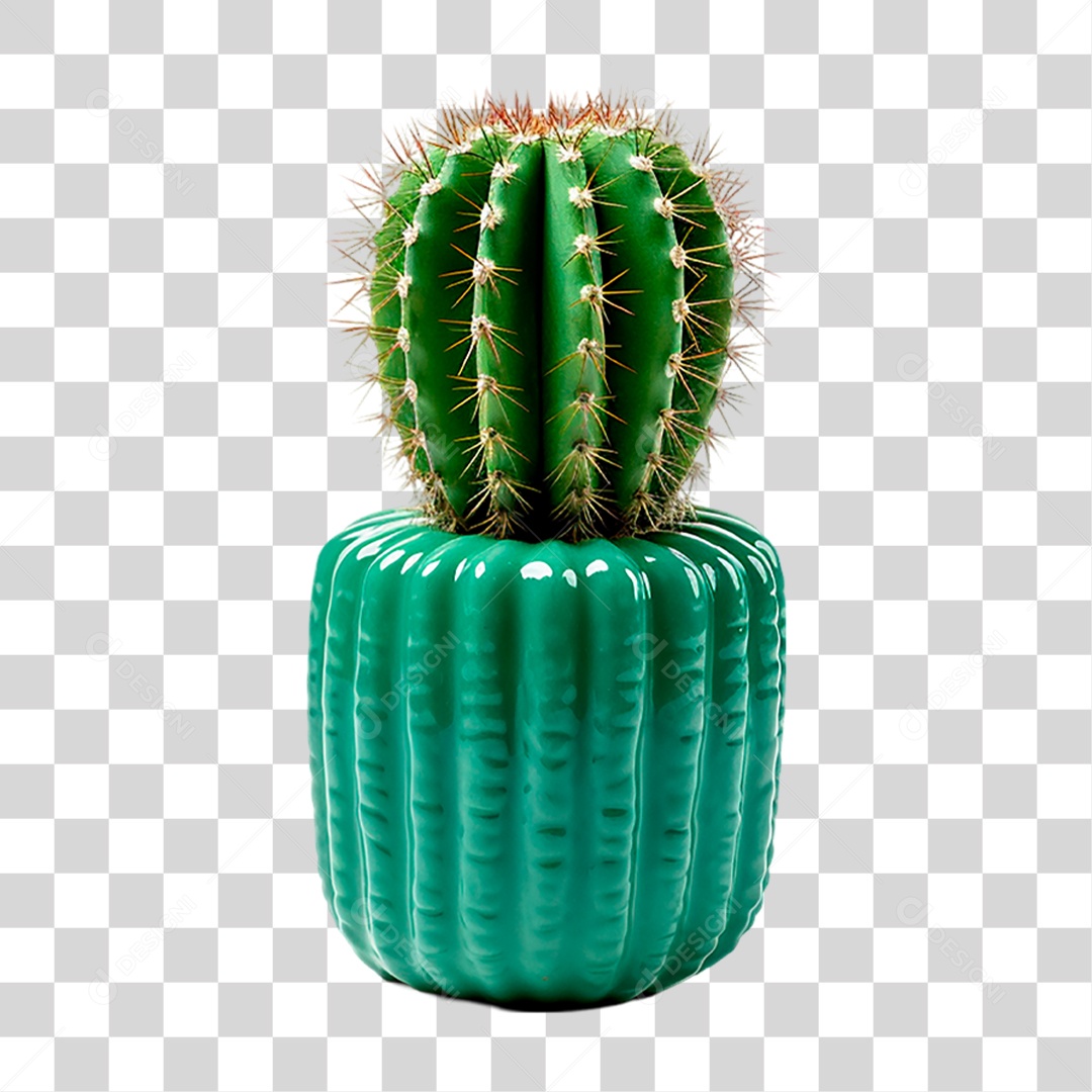 Cacto PNG Transparente