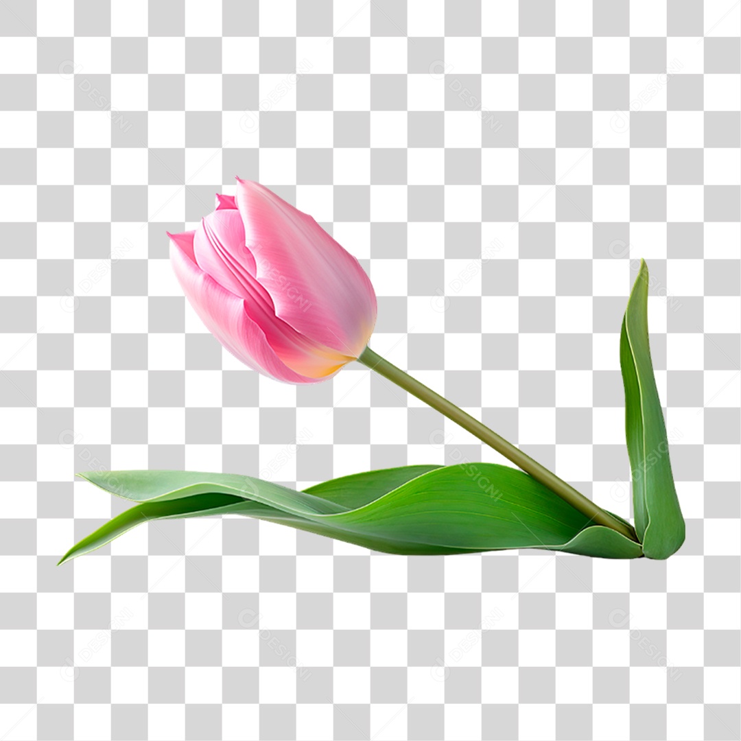 Flor Rosa PNG Transparente