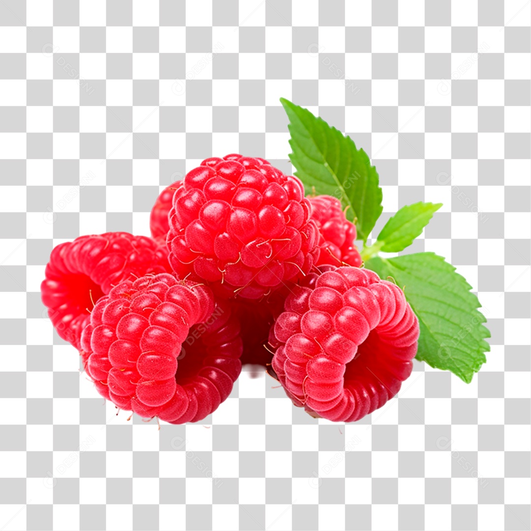 Framboesas Frescas PNG Transparente