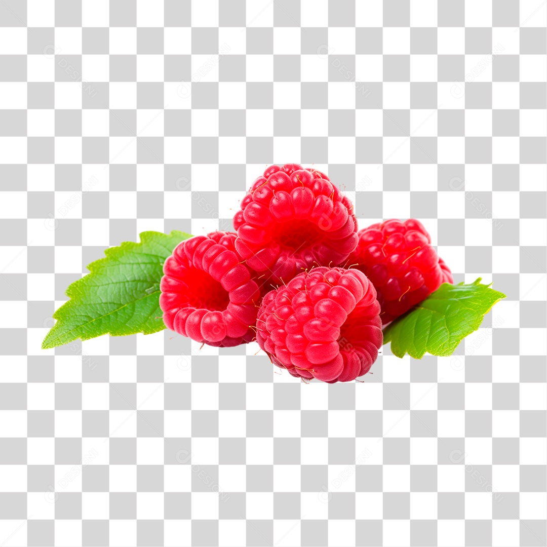Framboesas Frescas PNG Transparente