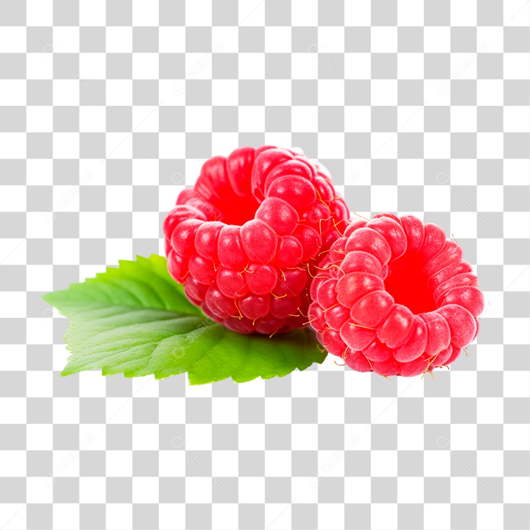Framboesas Frescas PNG Transparente