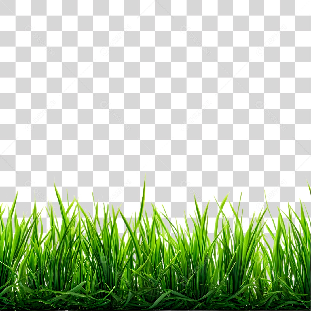 Campo de Grama PNG Transparente