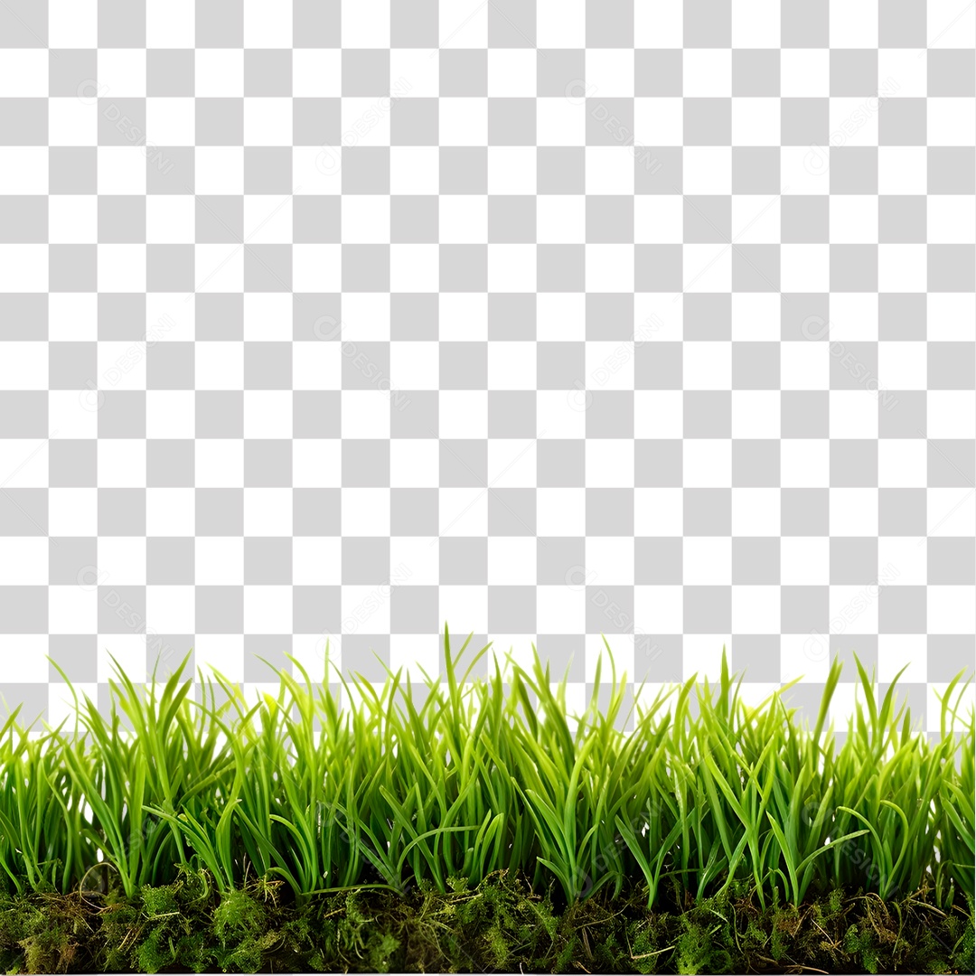 Campo de Grama PNG Transparente