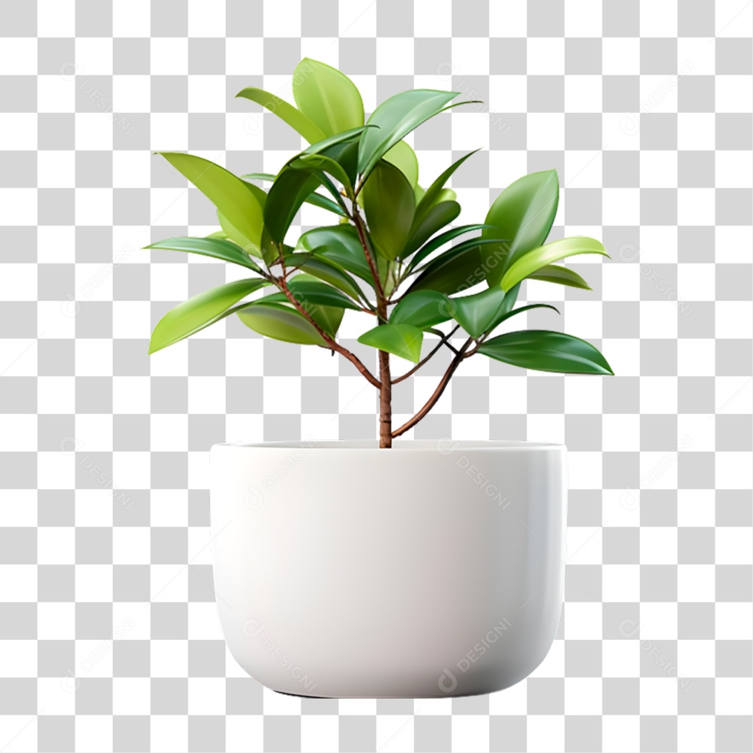 Vazo de Planta PNG Transparente