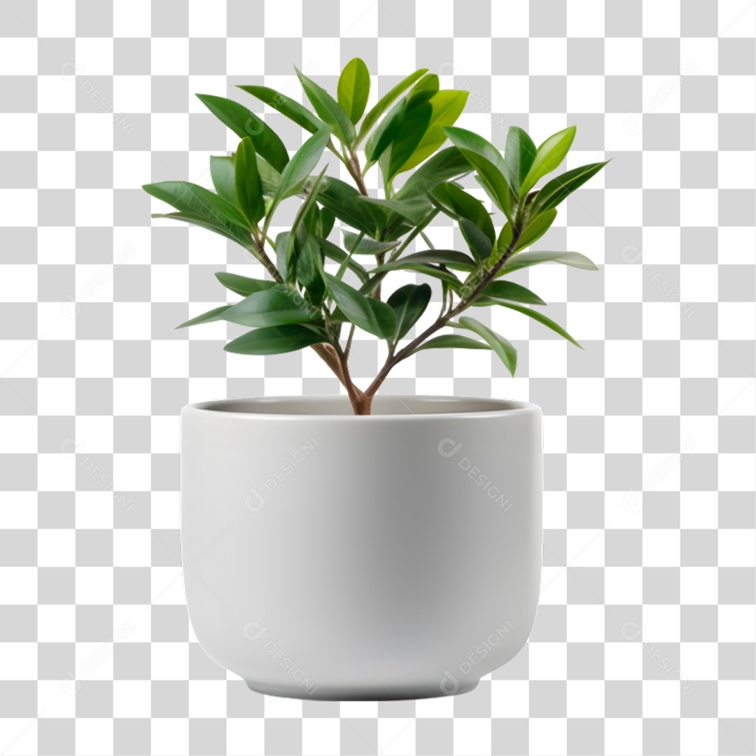 Vazo de Planta PNG Transparente