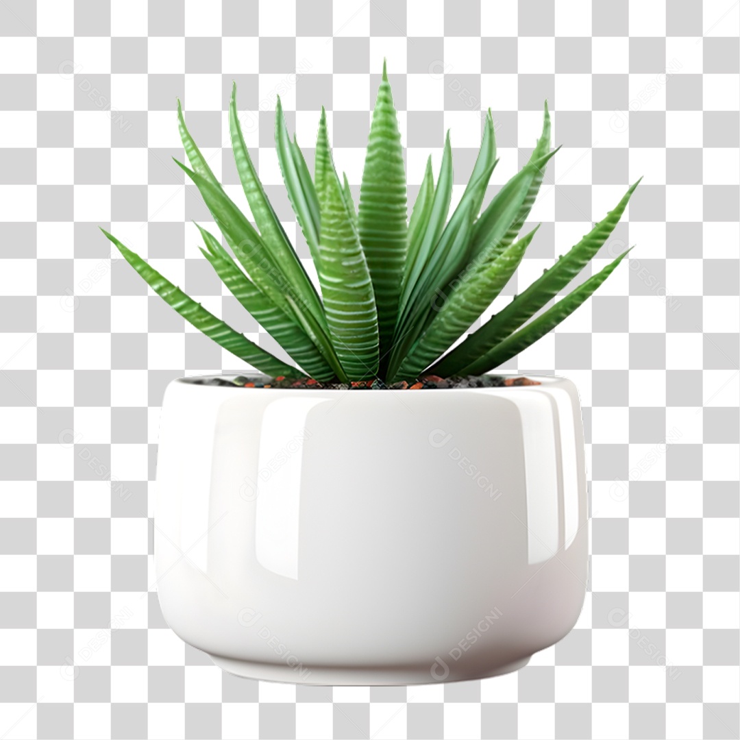 Vazo de Planta PNG Transparente