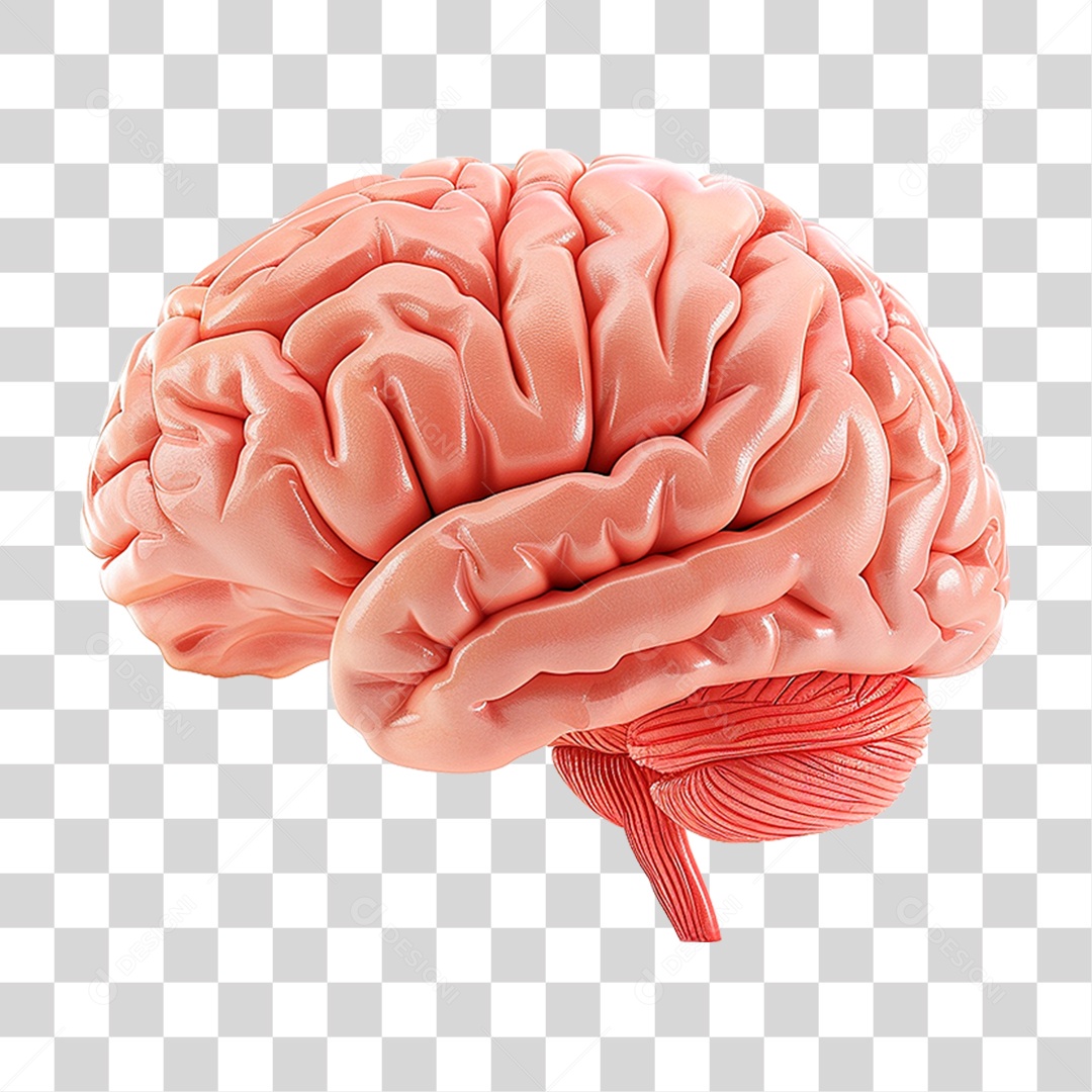 Celular com Chroma Key PNG Transparente