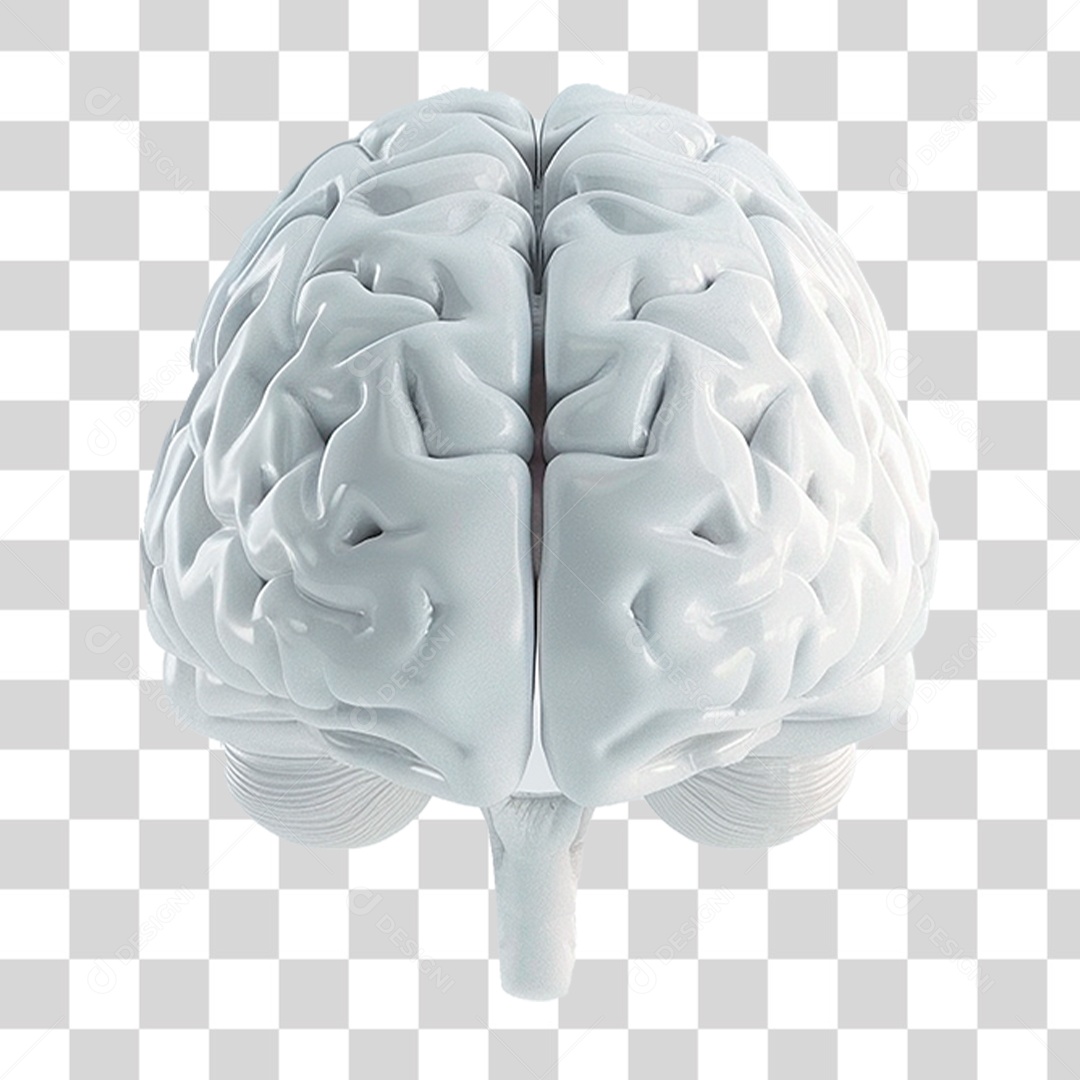 Cérebro Branco PNG Transparente